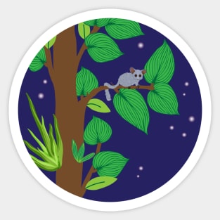 Senegal Bushbaby Sticker